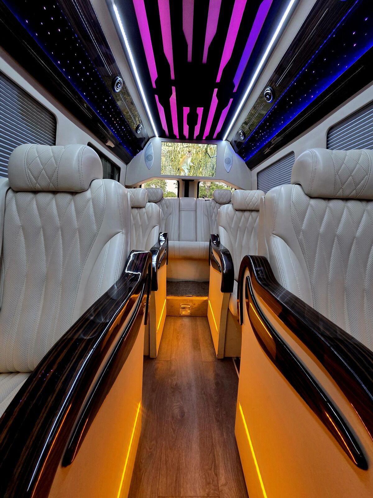 Sprinter VIP Paris allée centrale ambiance violette — transport de groupe hospitality pour Roland-Garros